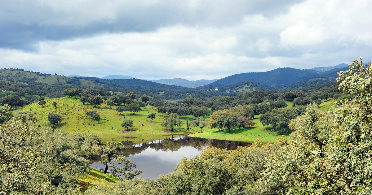 ÉCOLOGIE / BIODIVERSITÉ / PAYSAGE / CLIMAT / CARBONE